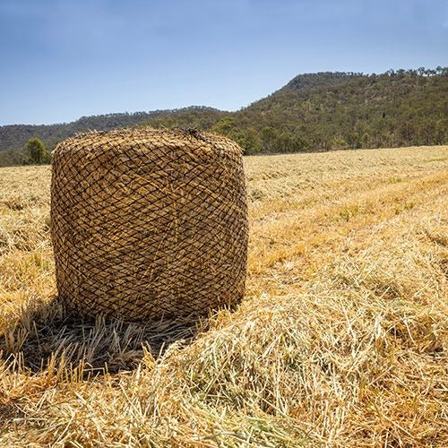 BAINBRIDGE KNOTLESS ROUND BALE HAY NET 5ft X 4ft