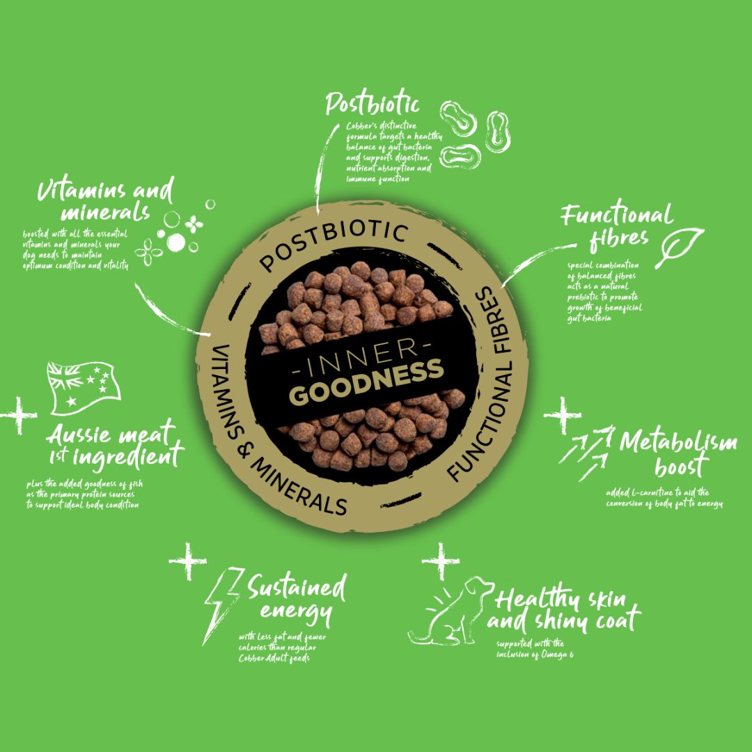 COBBER HEALTHY WEIGHT 20KG