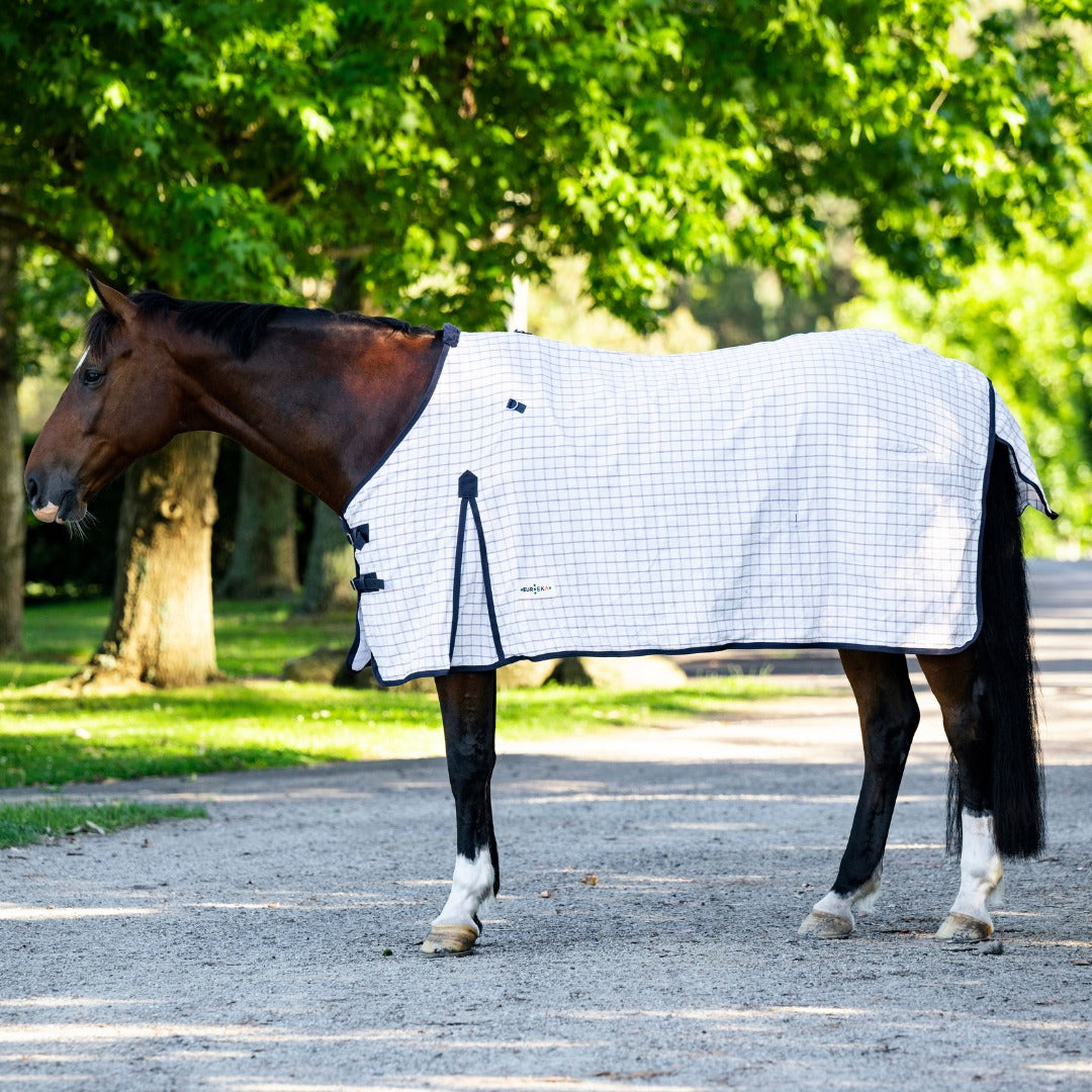 EUREKA SUMMER DELUXE COTTON RUG