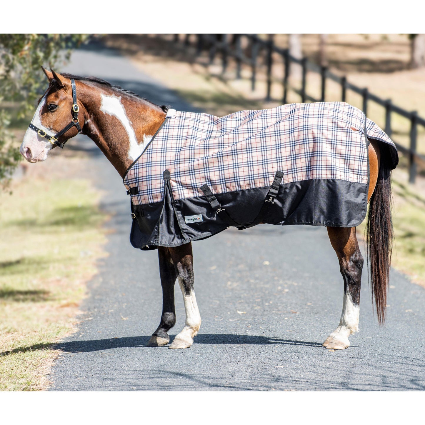 EUREKA WINTER CLASSIC CHECK RUG