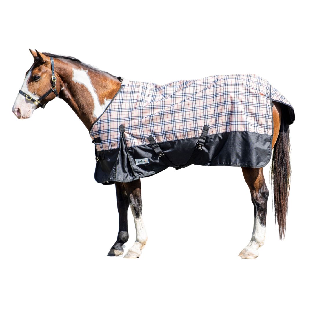 EUREKA WINTER CLASSIC CHECK RUG-Ranges Country