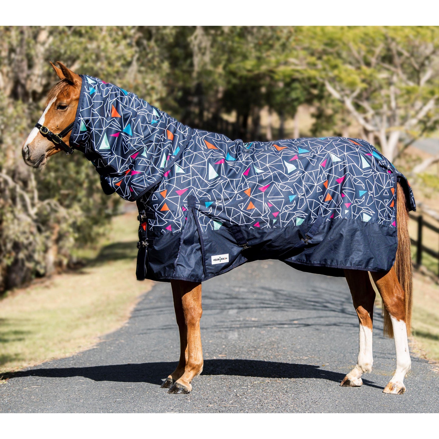 EUREKA WINTER VIKING 1200D COMBO