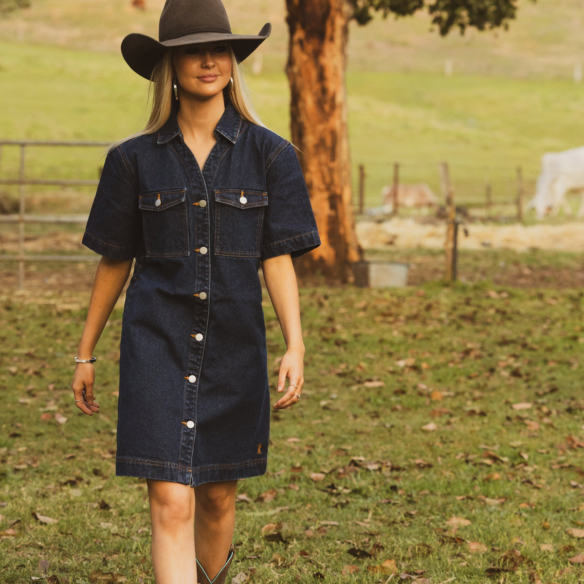 PILBARA WOMENS JOSIE SHORT SLEEVE DARK INDIGO DENIM DRESS
