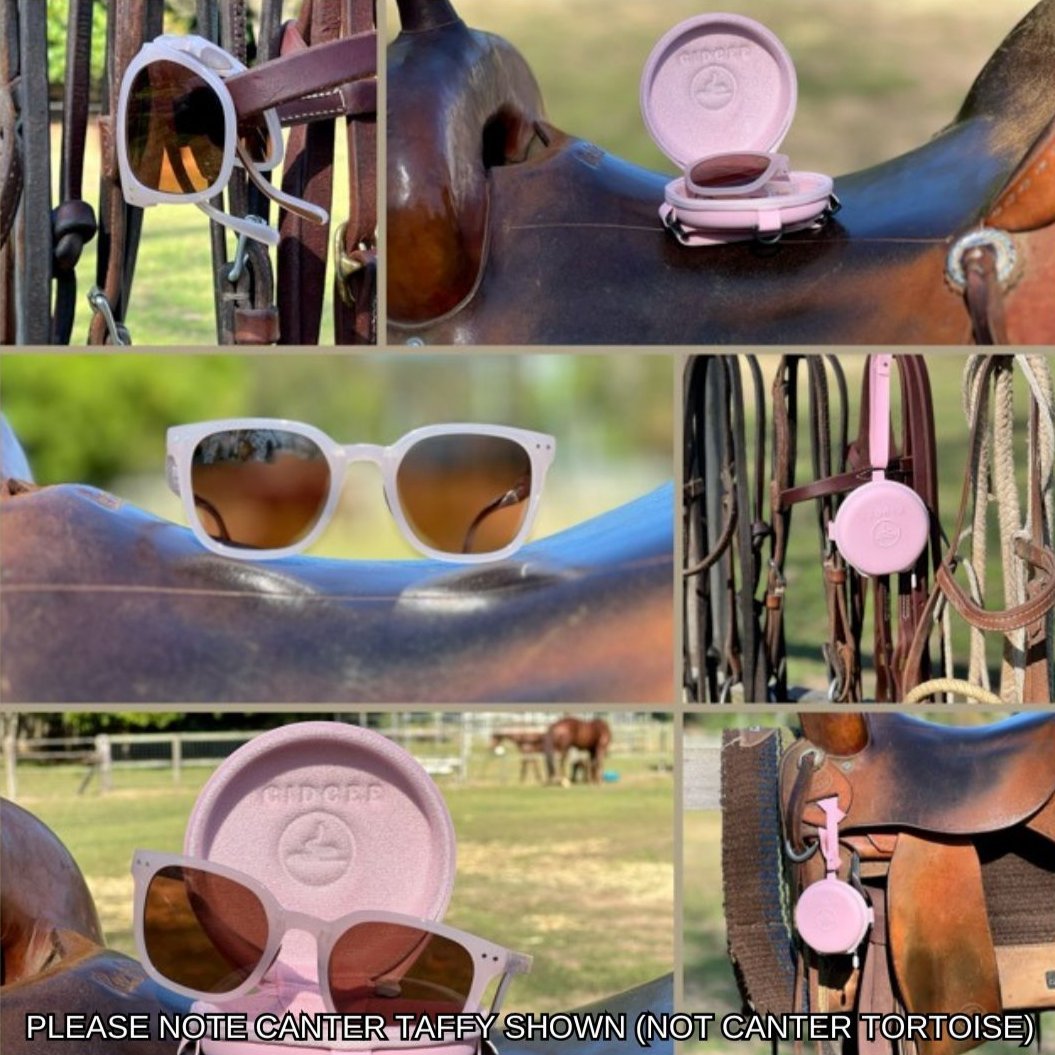 GIDGEE CANTER TORTOISE FOLDABLE SUNGLASSES