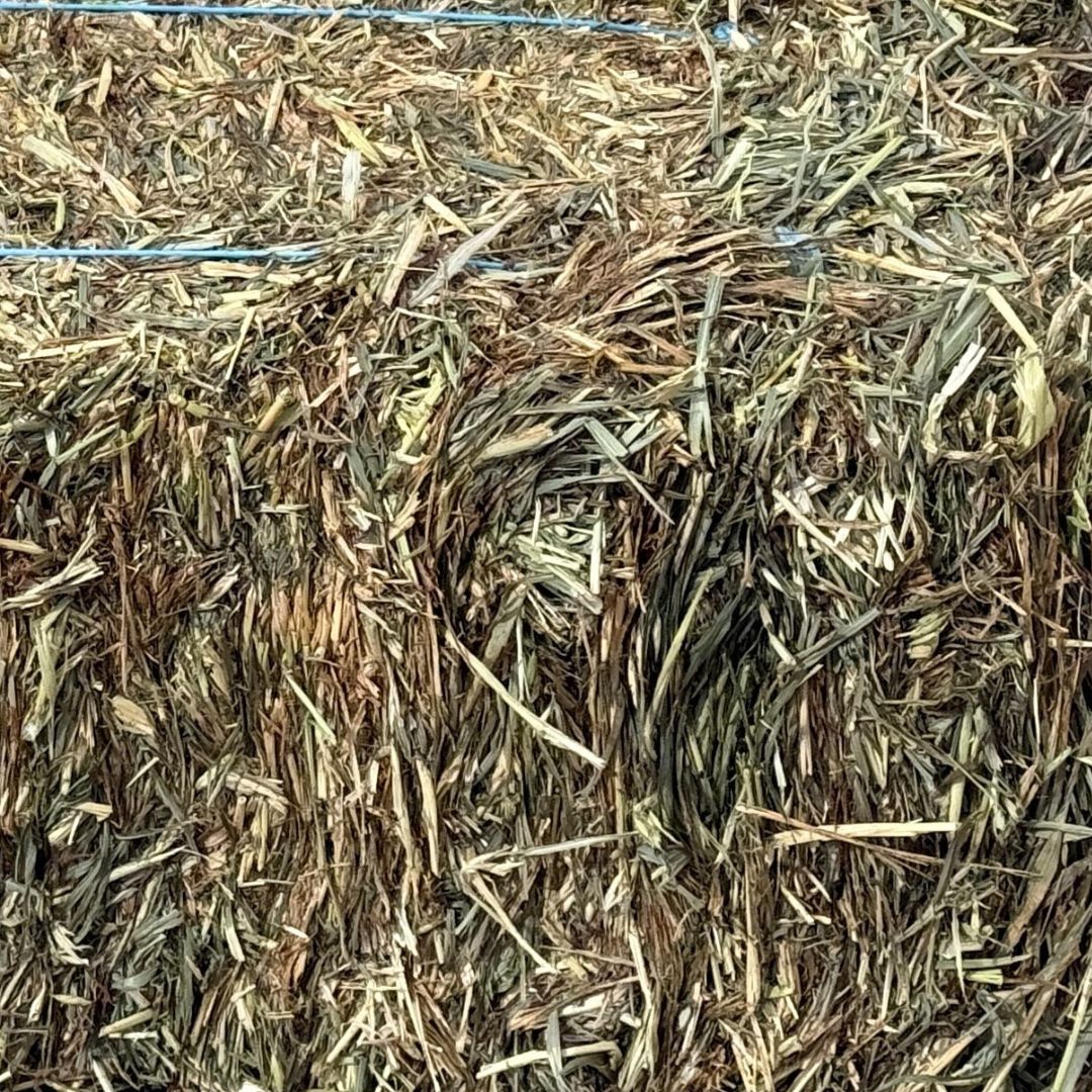 HAY BALES OATEN (CLARE)