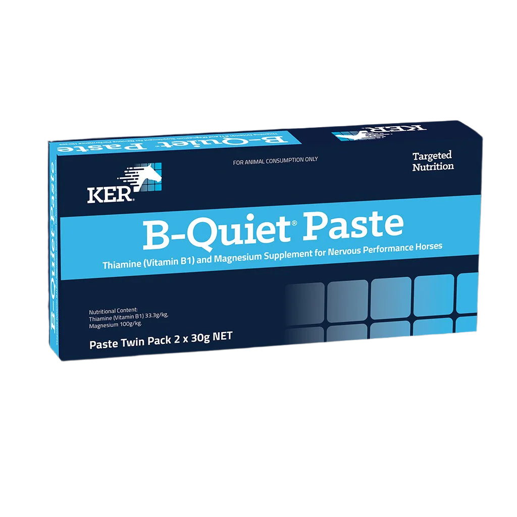 KER B QUIET PASTE TWIN PACK (2x 30g)