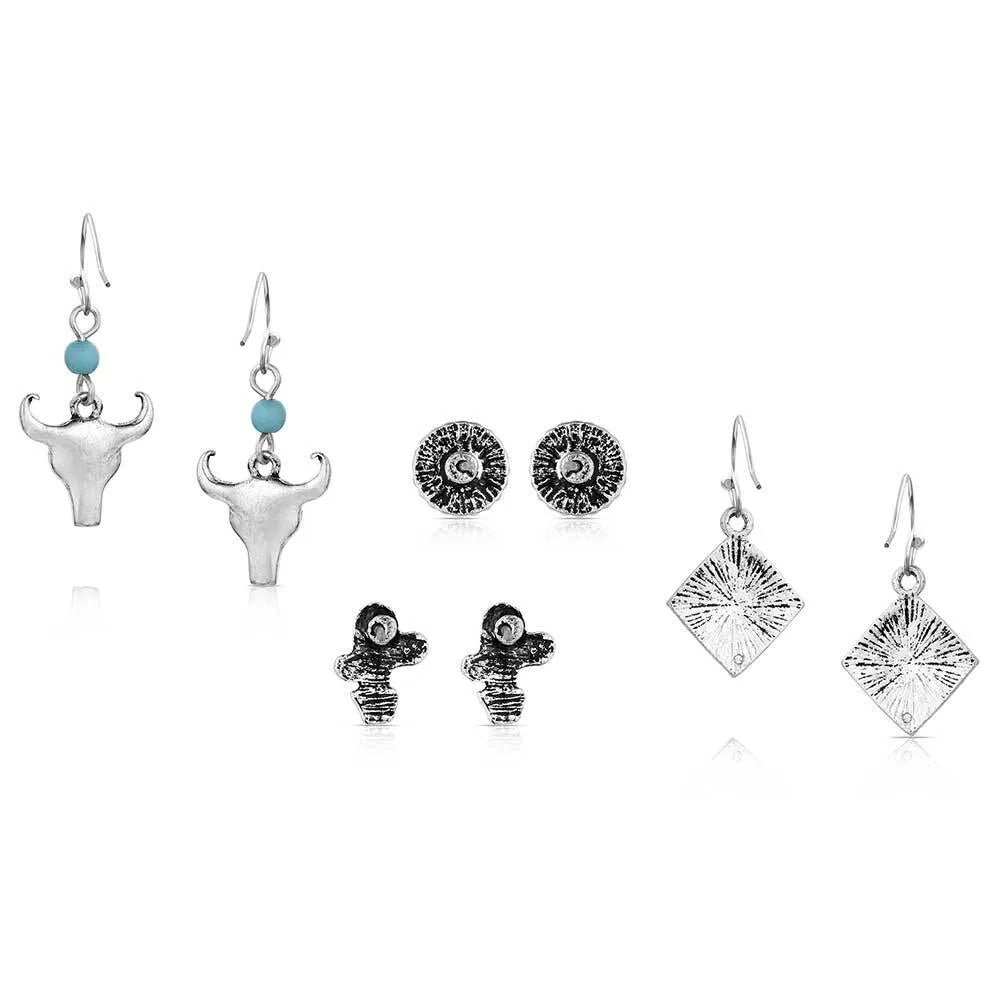 MONTANA ON THE PLAINS EARRINGS SET OF 4