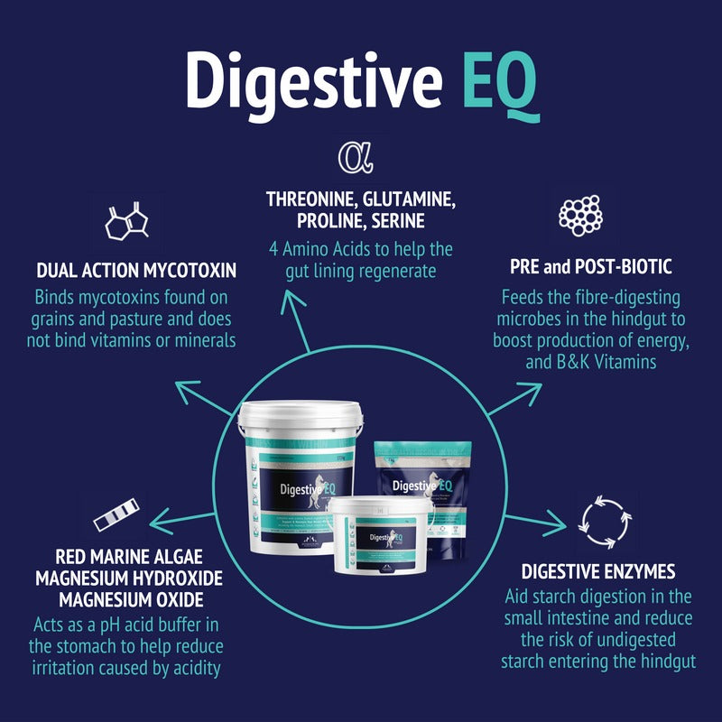 POSEIDON DIGESTIVE EQ SACHET 4kg