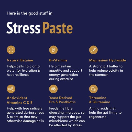 POSEIDON STRESS PASTE 60ml