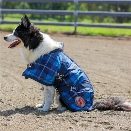 THERMO MASTER SUPREME BLUE TARTAN DOG COAT