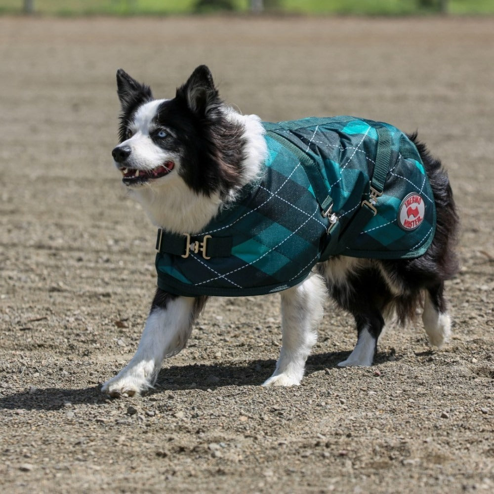 THERMO MASTER SUPREME EMERALD DIAMOND DOG COAT-Ranges Country