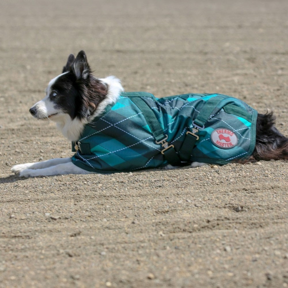 THERMO MASTER SUPREME EMERALD DIAMOND DOG COAT-Ranges Country