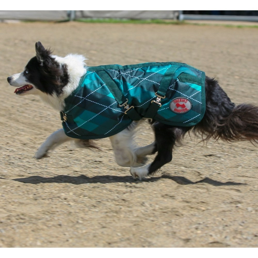 THERMO MASTER SUPREME EMERALD DIAMOND DOG COAT