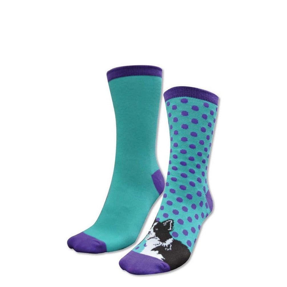 THOMAS COOK KIDS BORDER COLLIE SOCKS 2PK-Ranges Country