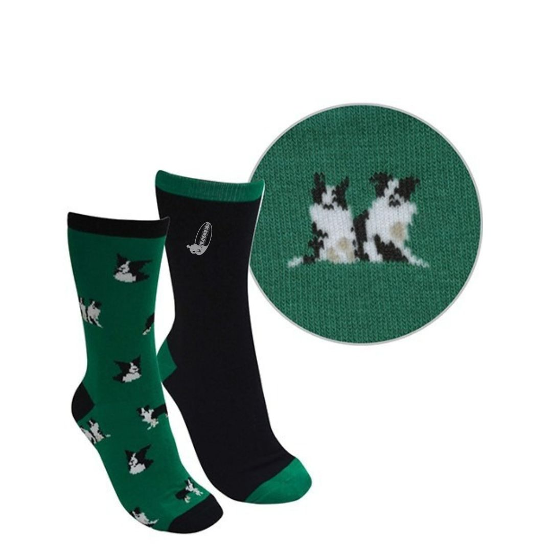 THOMAS COOK KIDS FARMYARD DOG SOCKS 2PK-Ranges Country