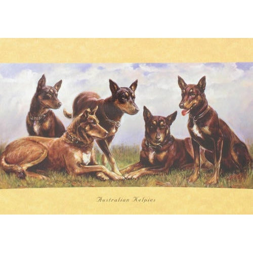 AUSTRALIAN KELPIES GIFT CARD-Ranges Country