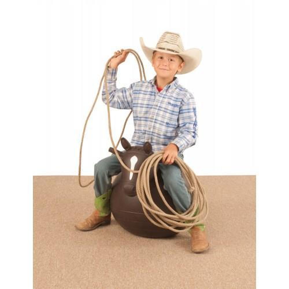 BIG COUNTRY TOYS BOUNCY HORSE-Ranges Country