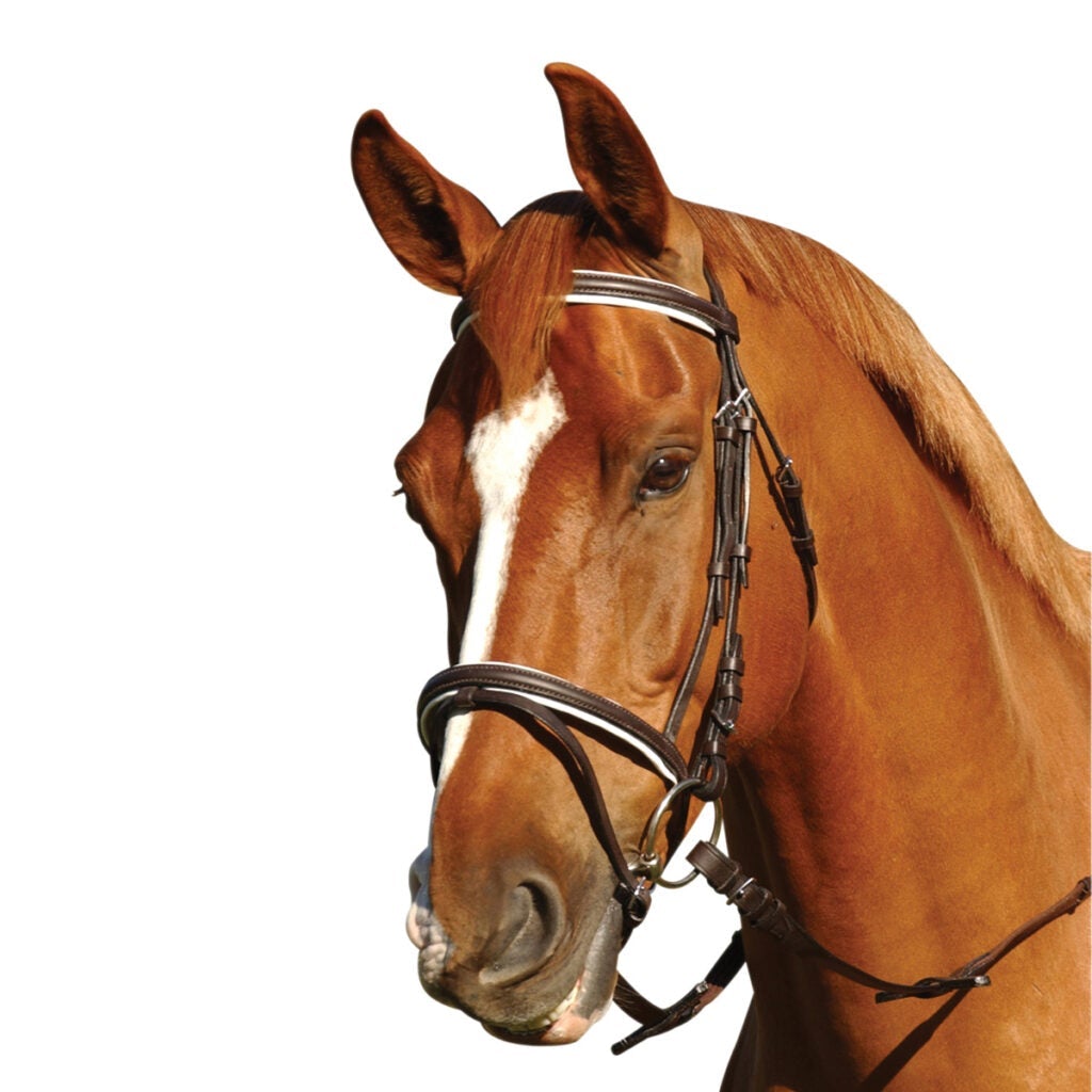 EUREKA EVENTING BRIDLE