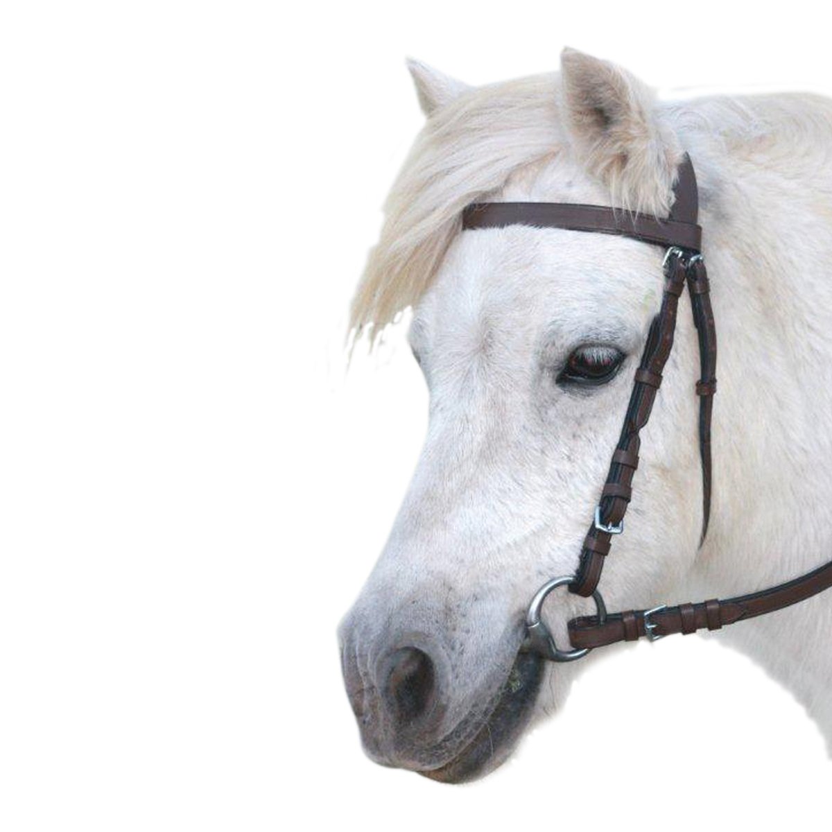 EUREKA PLAIN SNAFFLE BRIDLE-Ranges Country