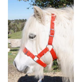 EUREKA SHETLAND HALTER