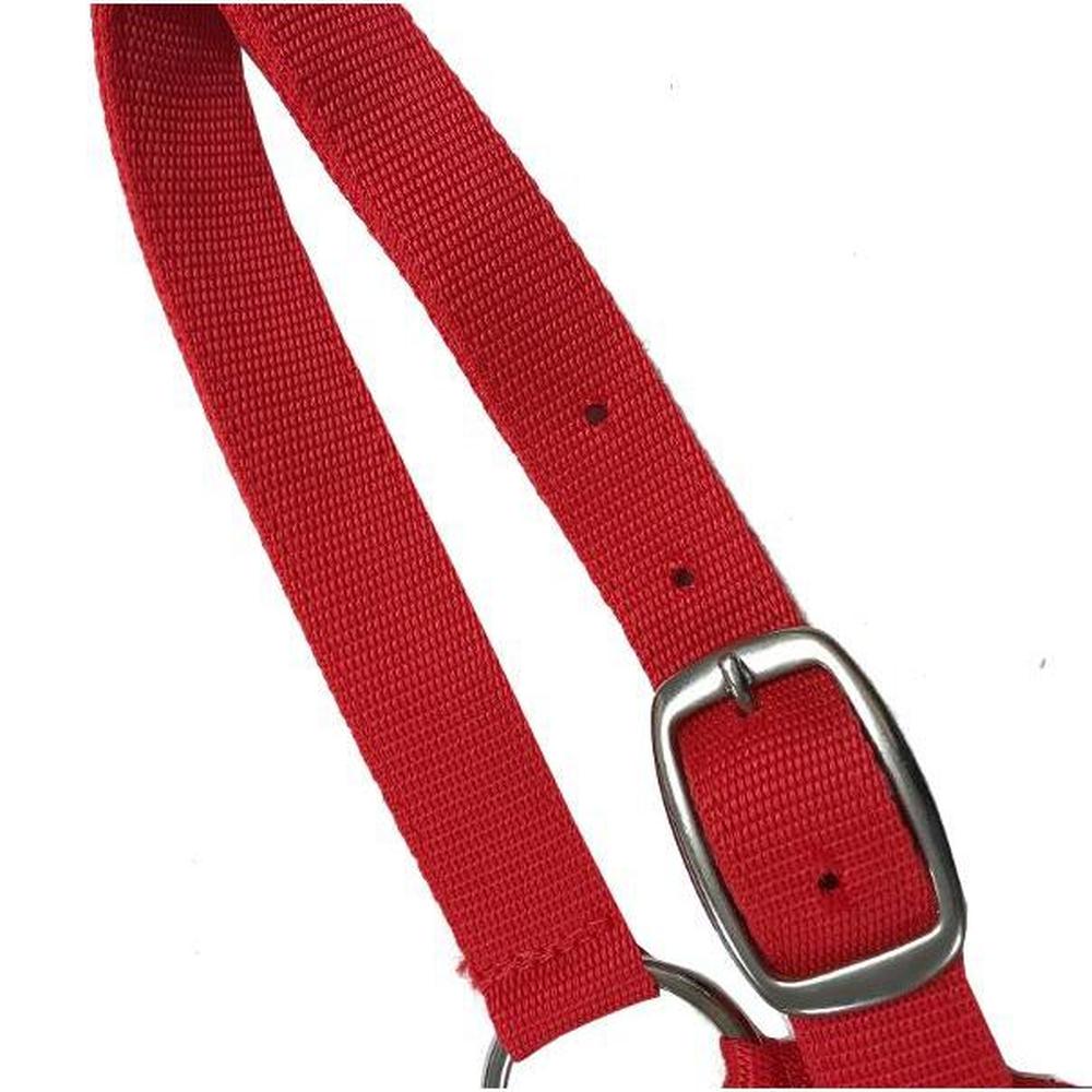 EUREKA SHETLAND HALTER