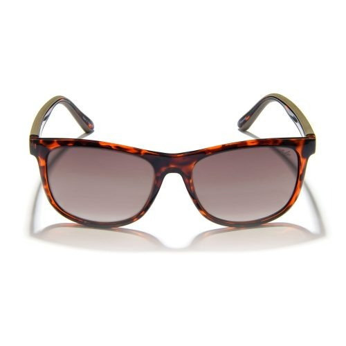 GIDGEE FENDER AMBER TORT SUNGLASSES