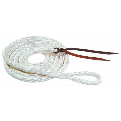 HORSEMANSHIP TRAINING LEAD NO SNAPHOOK-Ranges Country