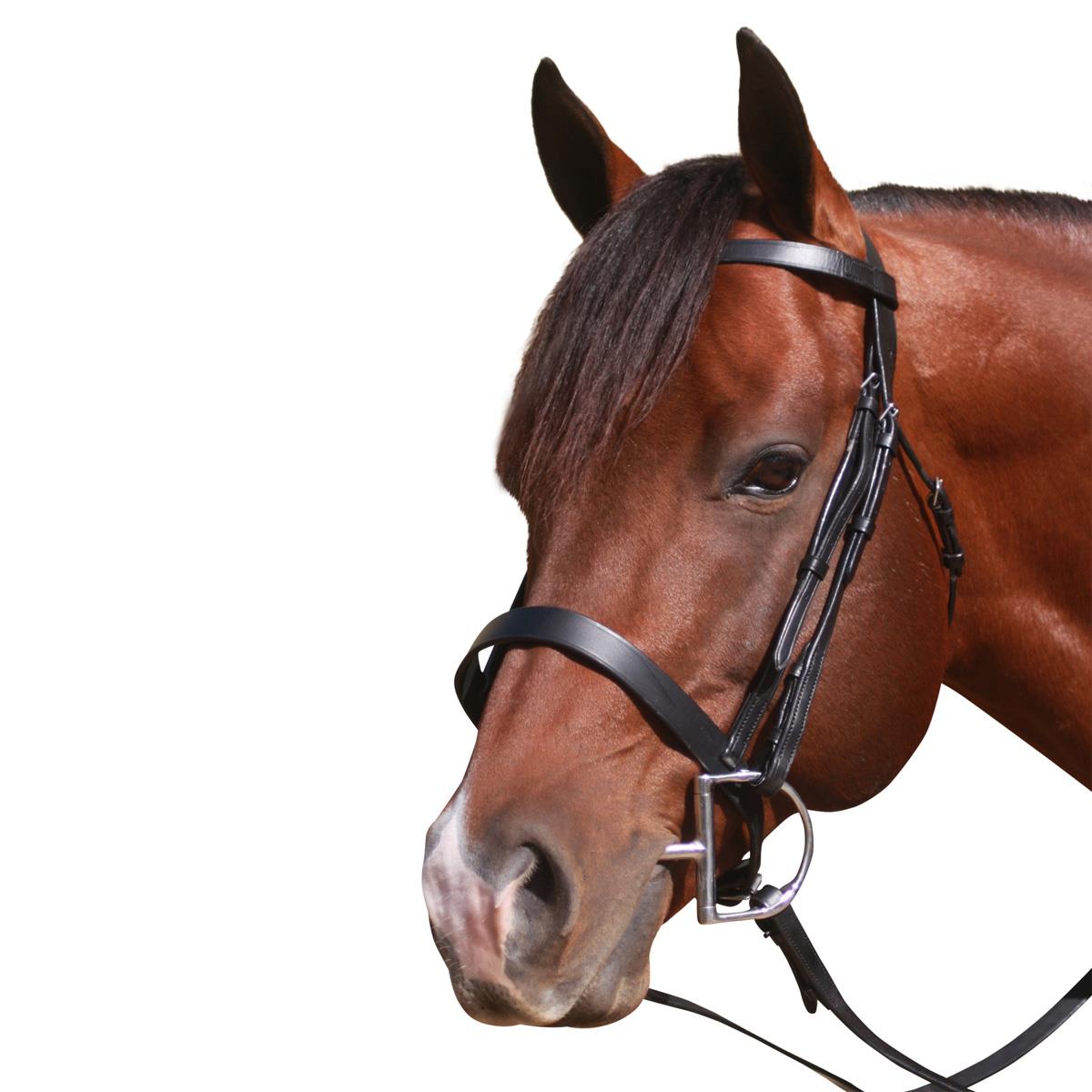 MCALISTER FLAT CAVESSON BRIDLE-Ranges Country