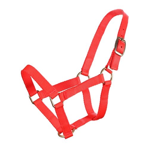 PICCOLO MINI HORSE HALTER-Ranges Country