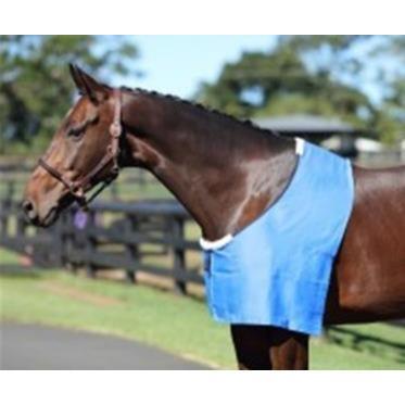 SHOWMASTER DELUXE RUG BIB-Ranges Country