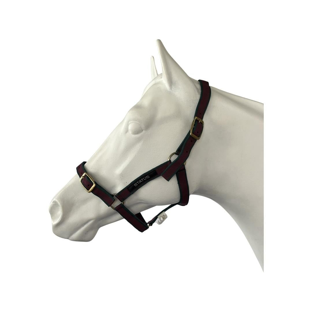 STATUS NYLON HALTER-Ranges Country