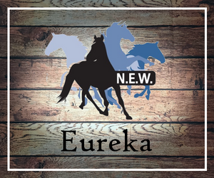 Brand: Eureka