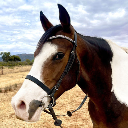 AFFINITY EQUESTRIAN PLAIN BROWBAND