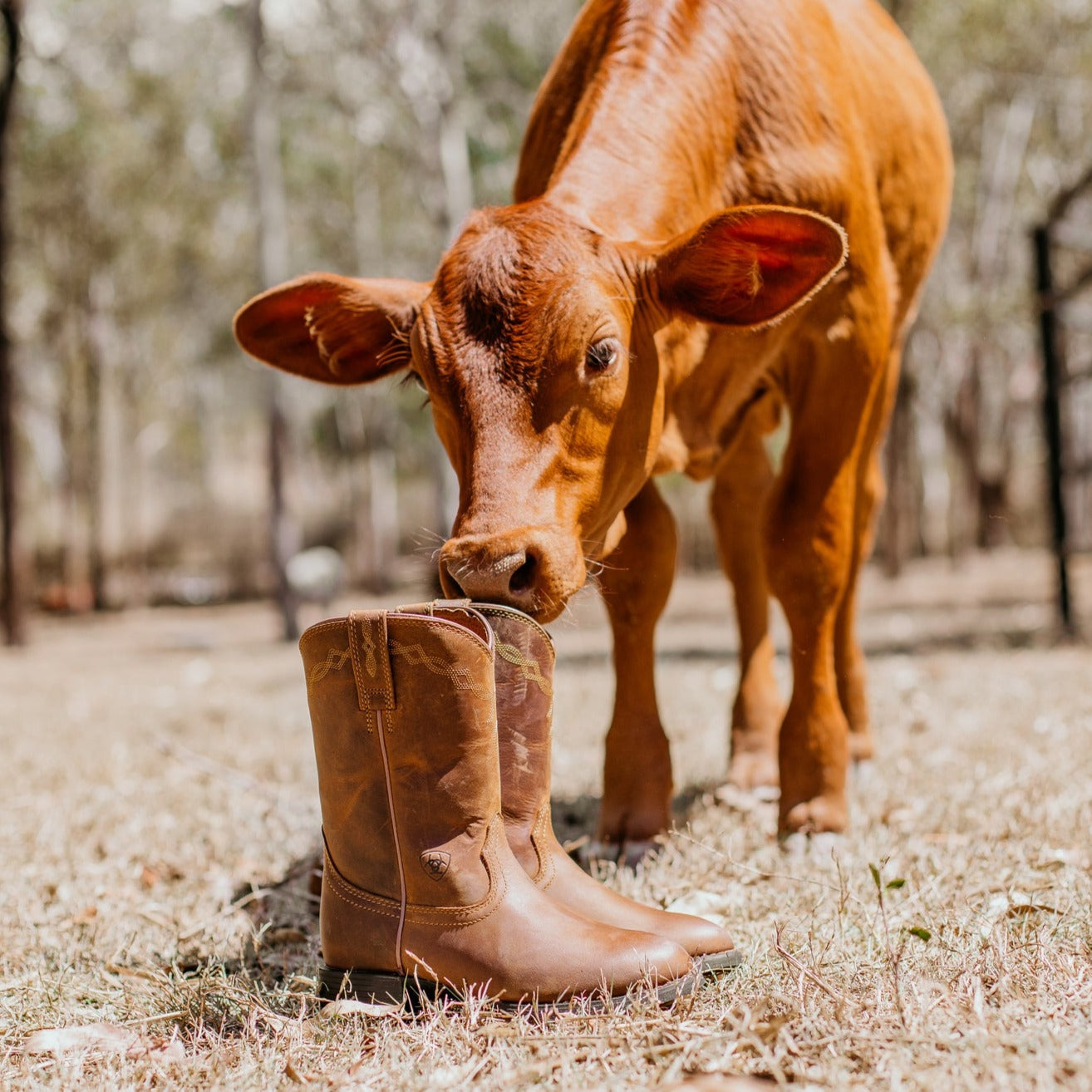 ARIAT WOMENS HERITAGE ROPER BOOTS-Ranges Country