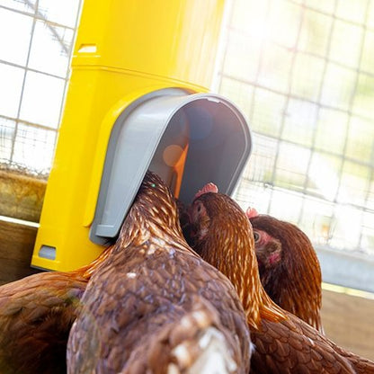 BAINBRIDGE CHOOK TOWER FEEDER
