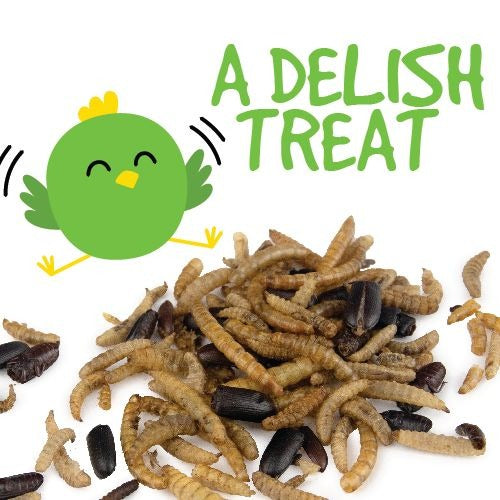 BAINBRIDGE DRIED BUG MIX 100g