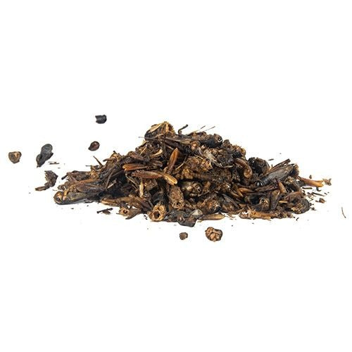 BAINBRIDGE DRIED CRICKETS 100g