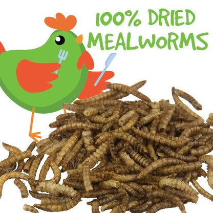 BAINBRIDGE DRIED MEALWORMS 100g