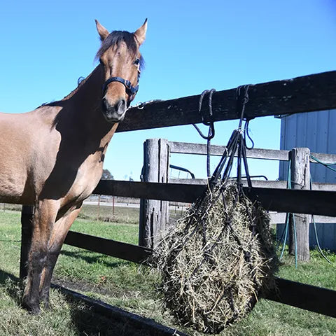 BAINBRIDGE HEAVY DUTY ROPE HAY NET 95cm