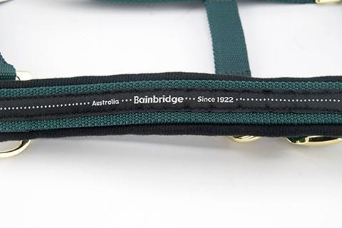 BAINBRIDGE HORSE HALTER
