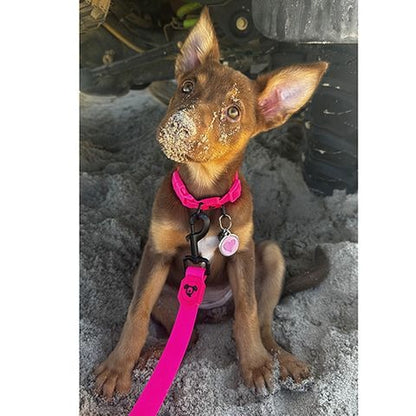 BAINBRIDGE WATERPROOF DOG LEASH