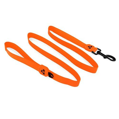 BAINBRIDGE WATERPROOF DOG LEASH