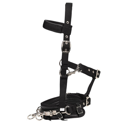 EQUI-PRENE LUNGE CAVESSON