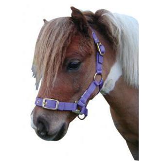 EUREKA MINI NYLON HALTER