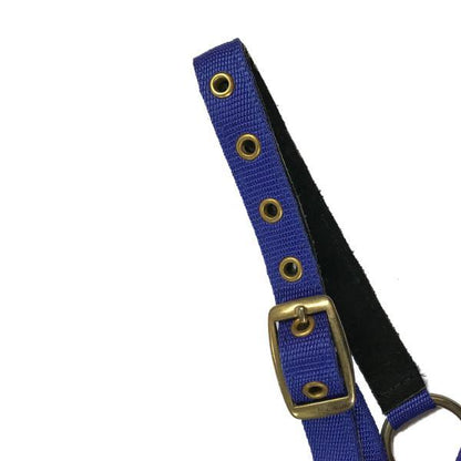EUREKA MINI NYLON HALTER