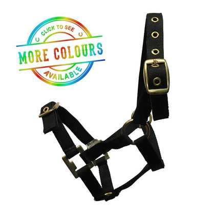 NYLON MINI HALTER-Ranges Country
