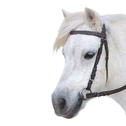 EUREKA PLAIN SNAFFLE BRIDLE