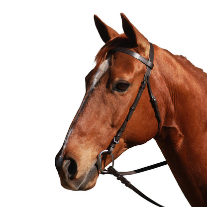 EUREKA PLAIN BRIDLE-Ranges Country