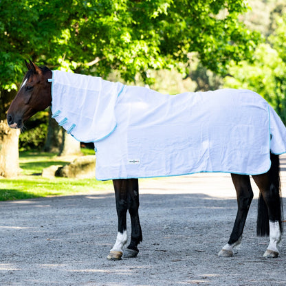 EUREKA SUMMER FLAG COMBO