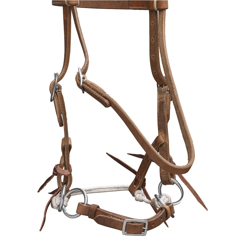 FORT WORTH BITLESS BRIDLE